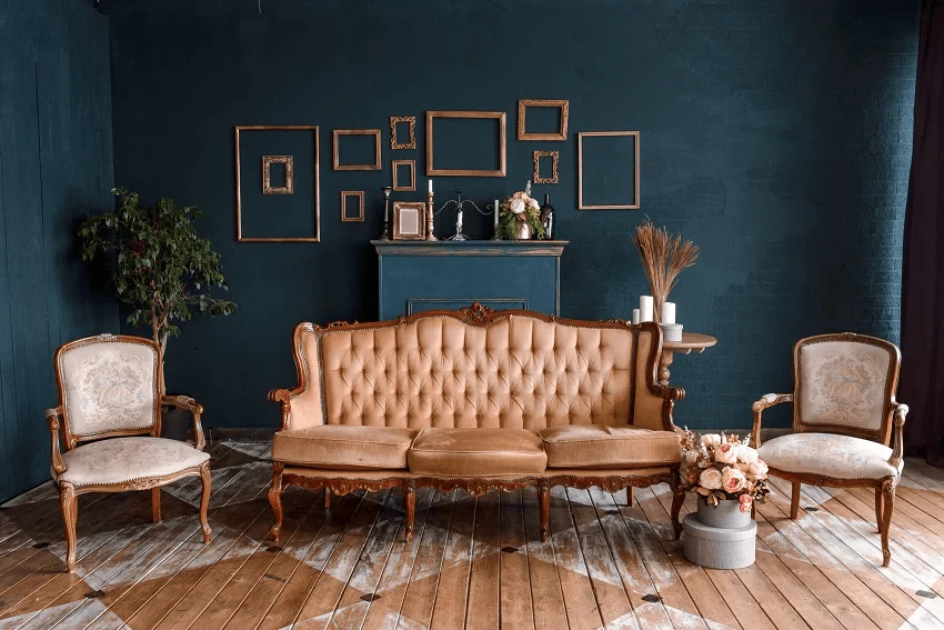 Gothic interior design style room with dark walls and an antique tufted sofa